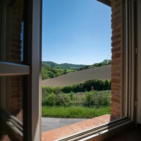 Le Giunche Guardistallo